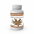 Harpagophytum